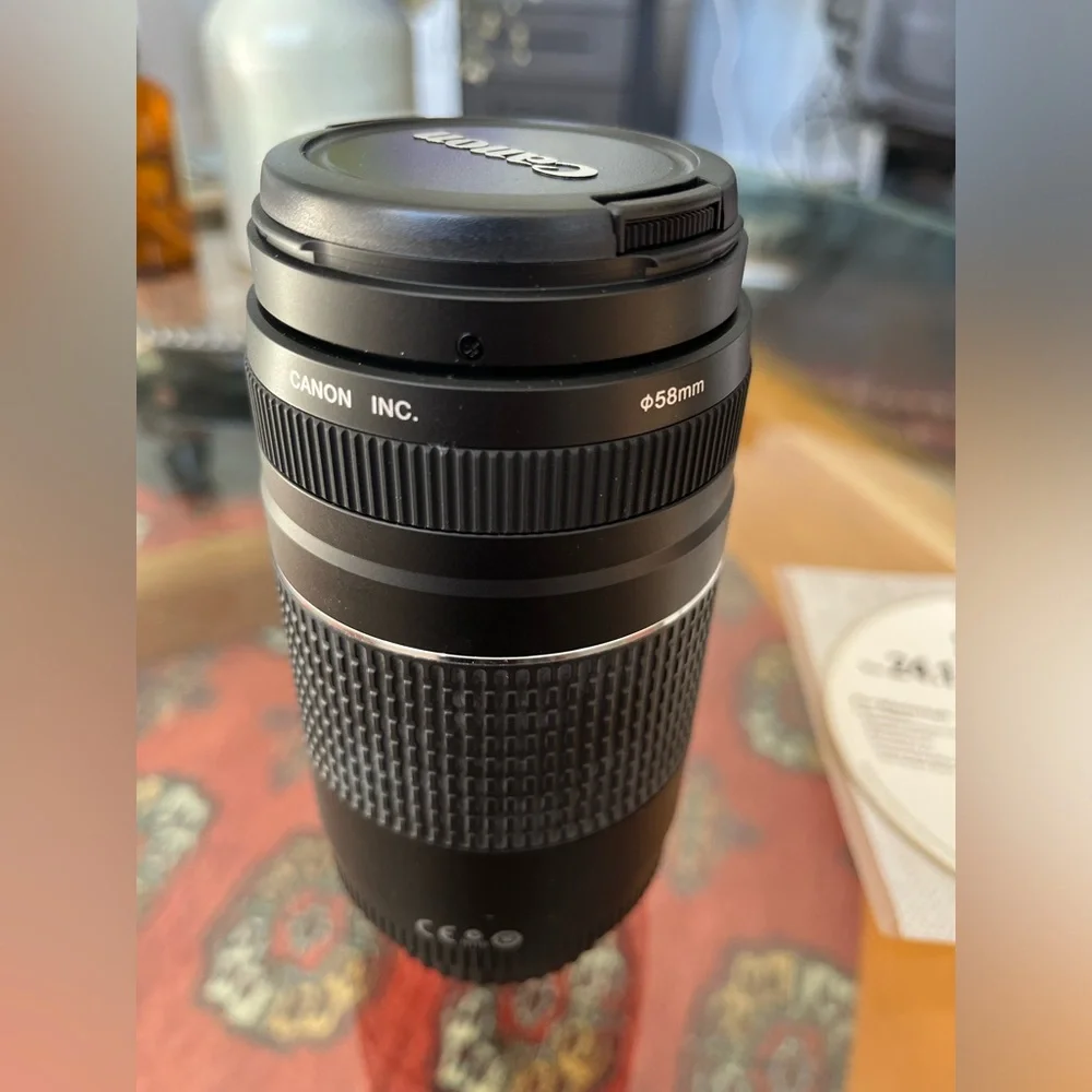 Canon EF 75-300mm f/4-5.6 iii